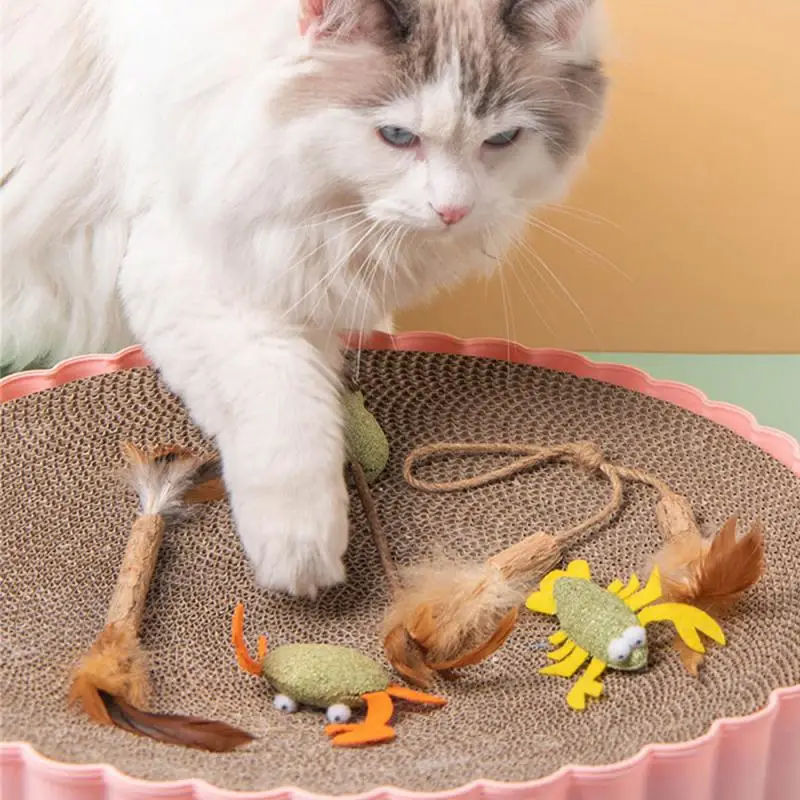 New Cat Mint Edible Catnip Ball Wooden Polygonum Catnip Cat Pet Catnip Toys Healthy Mixed Multicolor Tooth Grinding Rod Toys
New Cat Mint Edible Catnip Ball Wooden Polygonum Catnip Cat Pet Catnip Toys Healthy Mixed Multicolor Tooth Grinding Rod Toys