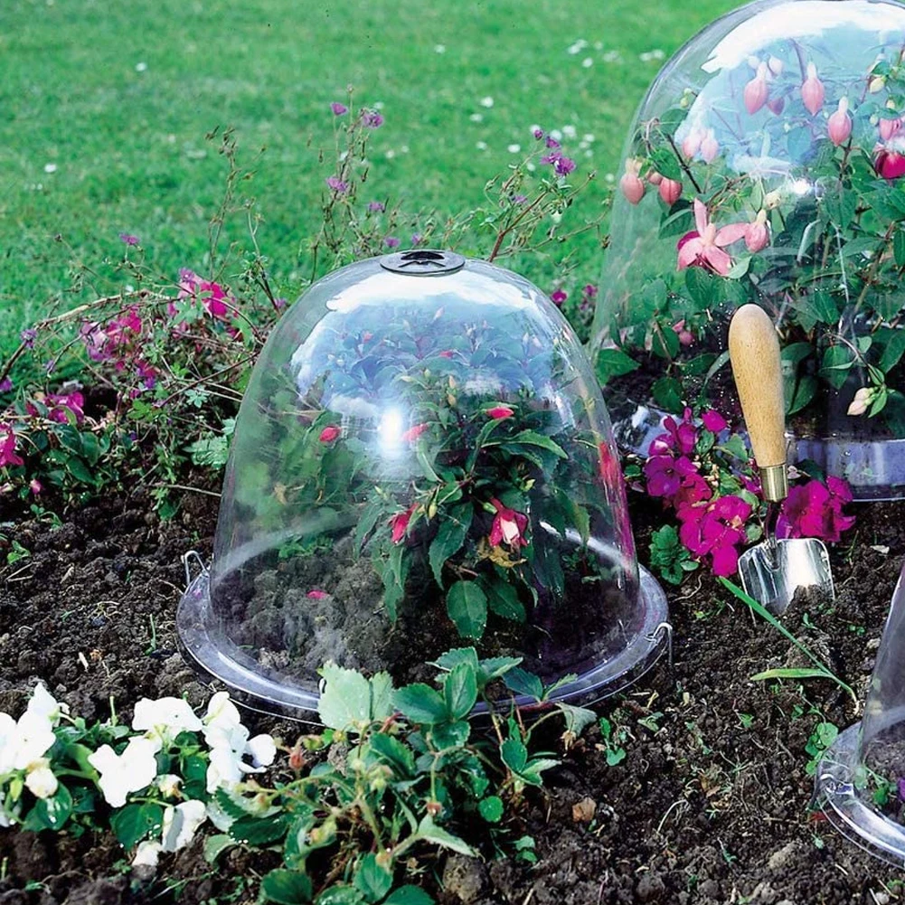 Outdoor Garden Plant Protect 10" Plant Bell Cover Dome Anti-freeze Transparent Protector Cover Mini Greenhouse 1PCS Plant Cover
Outdoor Garden Plant Protect 10" Plant Bell Cover Dome Anti-freeze Transparent Protector Cover Mini Greenhouse 1PCS Plant Cover