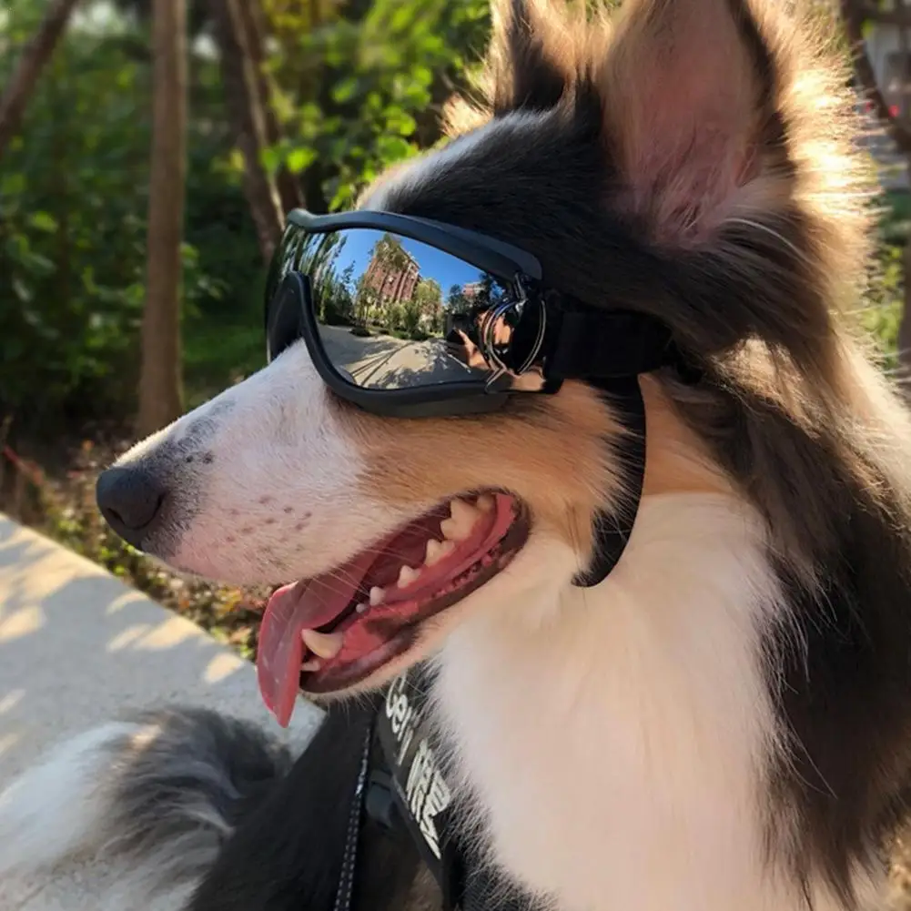 Adjustable Pet Dog Goggles Sunglasses Anti-UV Sun Glasses Eye Wear Protection Waterproof Windproof Sunglasses Pet Dog Supplies
Adjustable Pet Dog Goggles Sunglasses Anti-UV Sun Glasses Eye Wear Protection Waterproof Windproof Sunglasses Pet Dog Supplies