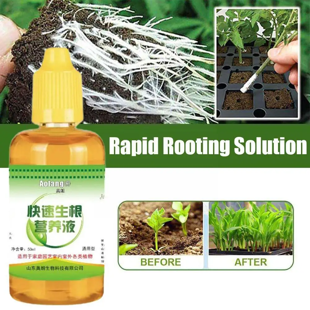 LOT General High-quality Fast Potting Rooting Plant Nutrient Solution Promote Sprouting Rapid Flowering Durable For Plant T0V5
LOT General High-quality Fast Potting Rooting Plant Nutrient Solution Promote Sprouting Rapid Flowering Durable For Plant T0V5
