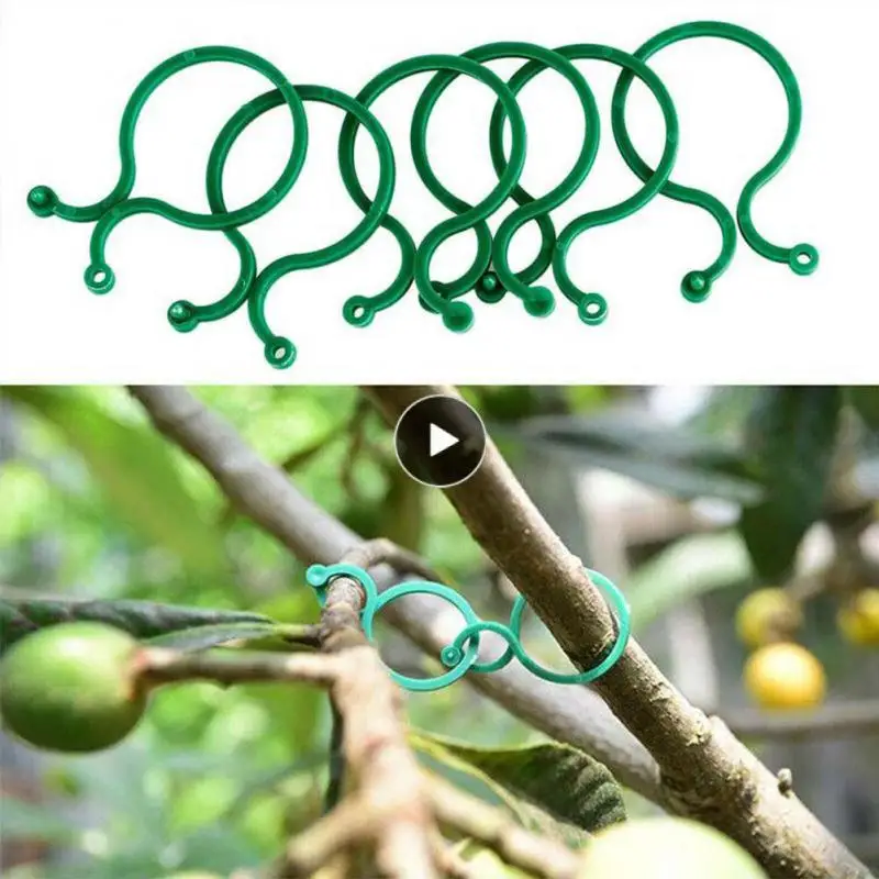 Fixed Plant Wall Climbing Vine Clips Fastener Tied Buckle Hook Plant Climbing Plastic Garden Vine Strapping Clips Hot Garden
Fixed Plant Wall Climbing Vine Clips Fastener Tied Buckle Hook Plant Climbing Plastic Garden Vine Strapping Clips Hot Garden