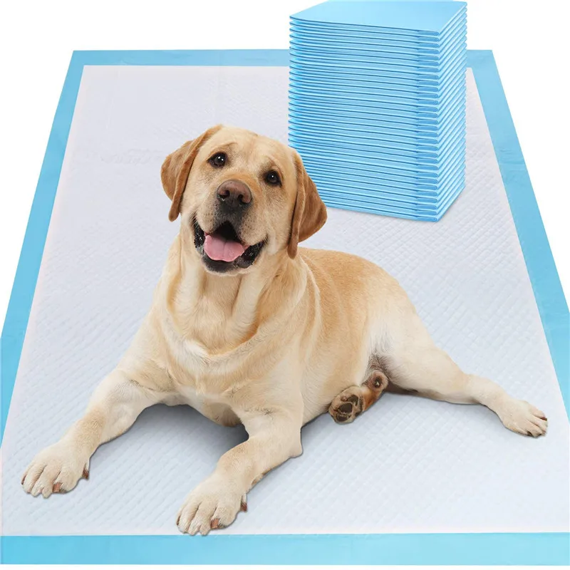 Pet Disposable Nappy Mat Water Uptake Breathable Disposable Dog and Cat Diapers Pet Training Pee Pads Bathroom Pet Nest Supplie
Pet Disposable Nappy Mat Water Uptake Breathable Disposable Dog and Cat Diapers Pet Training Pee Pads Bathroom Pet Nest Supplie