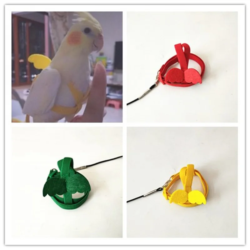Long Cable Bird Harness Leash Anti-Bite Training Rope Decorative Lightweight Parakeet Parrot Vest Rope for Bird
Long Cable Bird Harness Leash Anti-Bite Training Rope Decorative Lightweight Parakeet Parrot Vest Rope for Bird