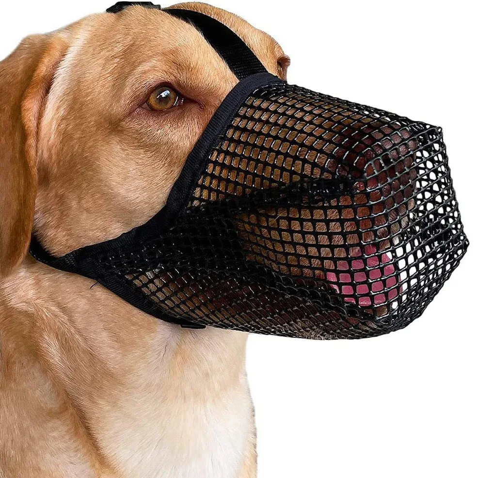 

Pet Dog Muzzles Adjustable Breathable Dog Mouth Cover Anti Bark Bite Mesh Dogs Mouth Muzzle Mask For Dogs
