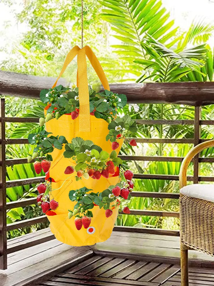 Разноцветная сумка для выращивания растений, галлоны, ранцы для посадки, многоразовые садовые балконы, растительный цветок, травяной плантатор
Разноцветная сумка для выращивания растений, галлоны, ранцы для посадки, многоразовые садовые балконы, растительный цветок, травяной плантатор