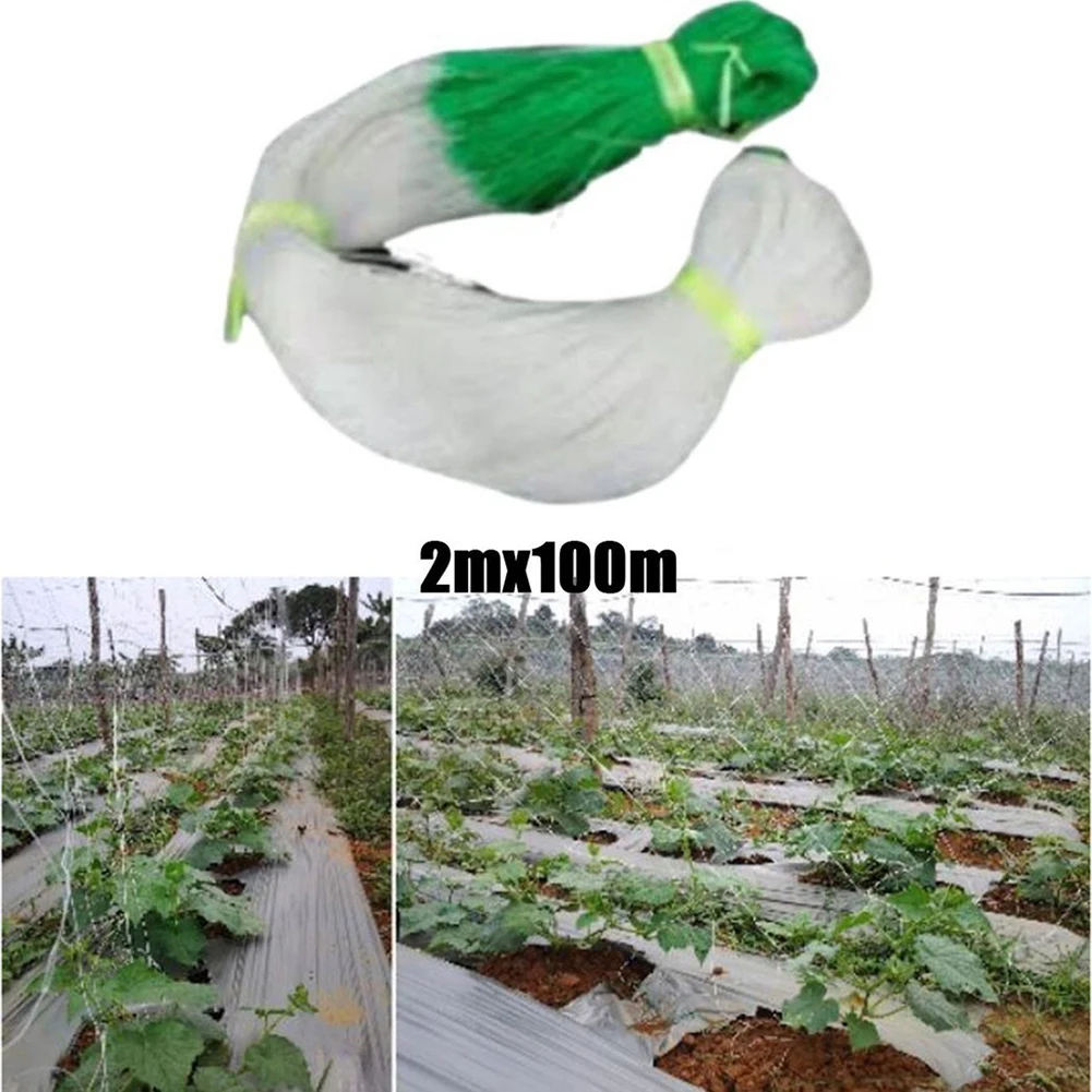 2M*100M Cucumber Net Netting Plant Support Net Plant Climbing High Density Polyethylene Mesh Nets Vegetable Crop Beans Support
2M*100M Cucumber Net Netting Plant Support Net Plant Climbing High Density Polyethylene Mesh Nets Vegetable Crop Beans Support