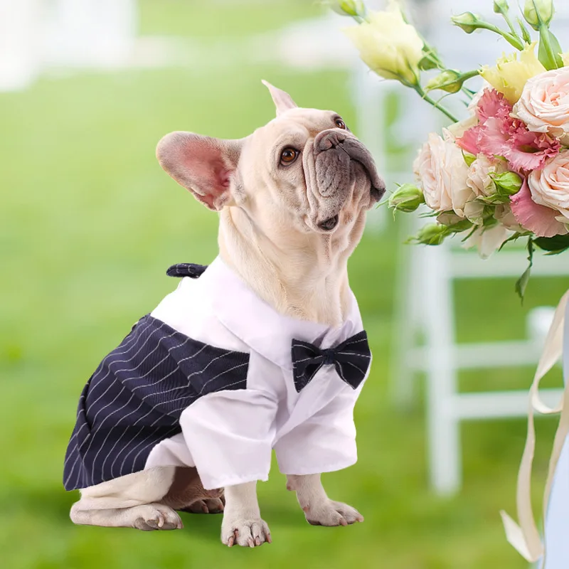Pet Formal Shirt Dog Clothing Prince Wedding Party Suit Tuxedo Bow Tie Puppy Clothes Coat Spring Summer Costume Small Dog Dress
Pet Formal Shirt Dog Clothing Prince Wedding Party Suit Tuxedo Bow Tie Puppy Clothes Coat Spring Summer Costume Small Dog Dress