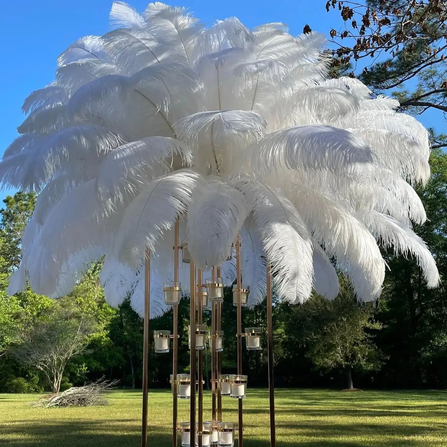 25-55cm Natural Ostrich Feathers White Wedding Party Home Table Centerpieces 10pcs/bag Colored Carnival Decorative Plumas
25-55cm Natural Ostrich Feathers White Wedding Party Home Table Centerpieces 10pcs/bag Colored Carnival Decorative Plumas