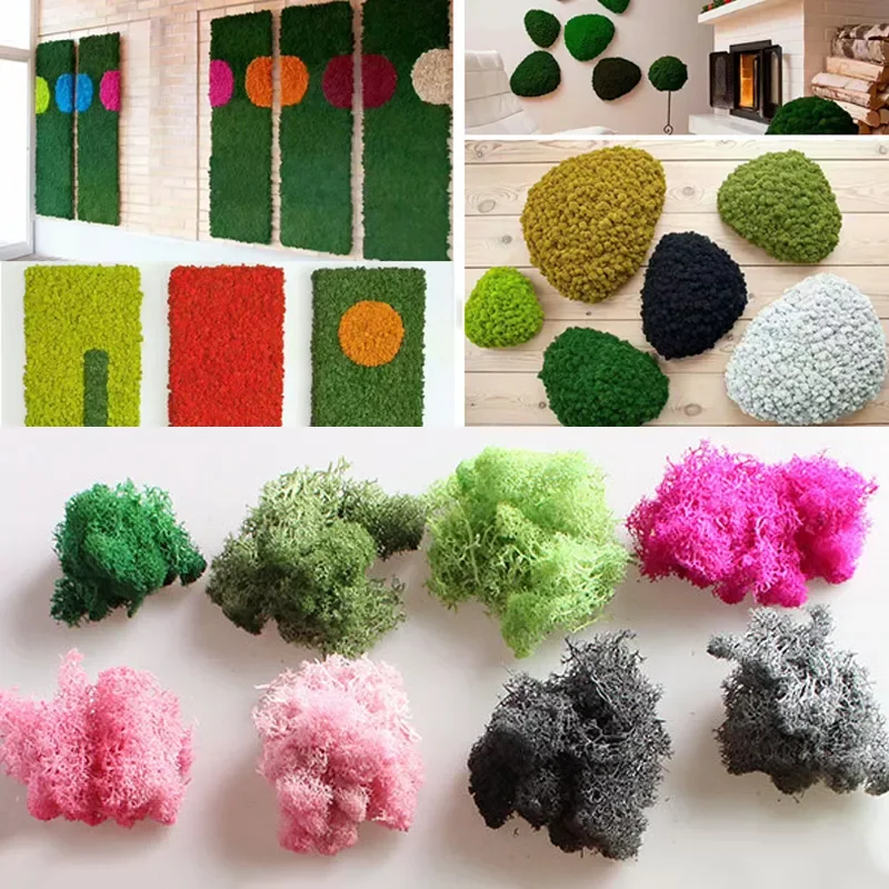 NEW Natural Norwegian Moss Preserved Dried Craft Flower Stamen Decoration Wedding Ornament Fairy Garden Decor
NEW Natural Norwegian Moss Preserved Dried Craft Flower Stamen Decoration Wedding Ornament Fairy Garden Decor
