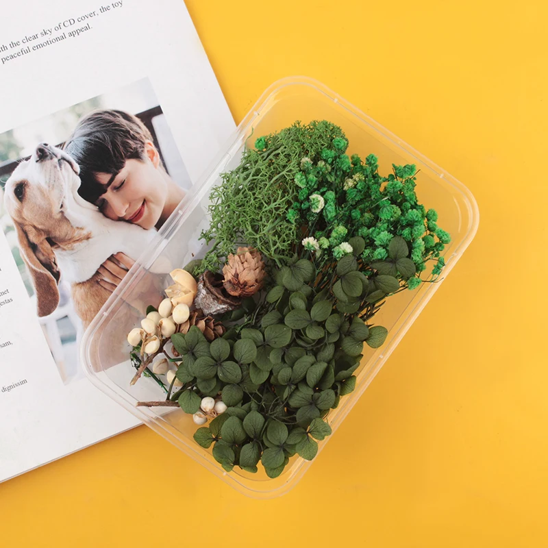 A Box of Natural Dried Flowers Light Fresh Green Dried Flower Set Handmade DIY Craft Material Package Home Decoration Flowers
A Box of Natural Dried Flowers Light Fresh Green Dried Flower Set Handmade DIY Craft Material Package Home Decoration Flowers