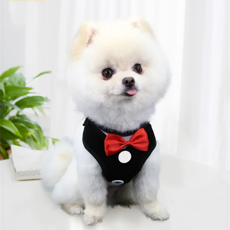 S/M/L Elegant Bow Dog Collars Necktie Traction Rope Adjustable Pet Harness for Small Medium Dogs Cat Chest Strap Dog Accessories
S/M/L Elegant Bow Dog Collars Necktie Traction Rope Adjustable Pet Harness for Small Medium Dogs Cat Chest Strap Dog Accessories