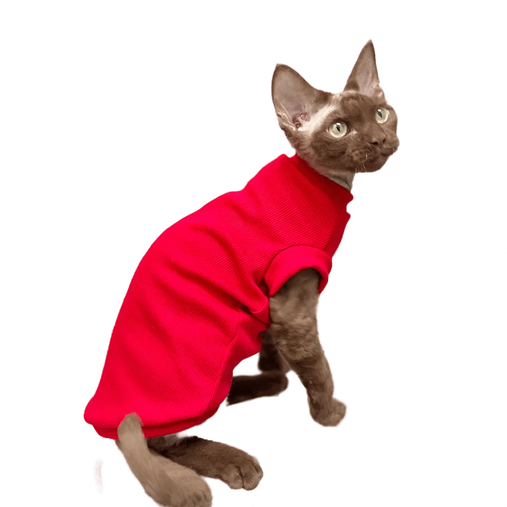 

Red Sphinx Costume Conis Kitthen Outfits Spring Fall Warm Devon Rex Cat Jumper Sphynx Cat Clothes for Cats Hairless Cat Clothes