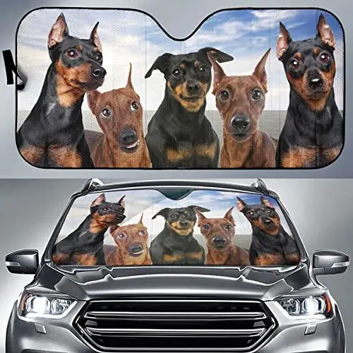 Funny Miniature Pinscher Team Blue Sky Pattern Car Sunshade, Miniature Pinscher Family Car Window Sun Cover for Dog Lover, Car W
Funny Miniature Pinscher Team Blue Sky Pattern Car Sunshade, Miniature Pinscher Family Car Window Sun Cover for Dog Lover, Car W