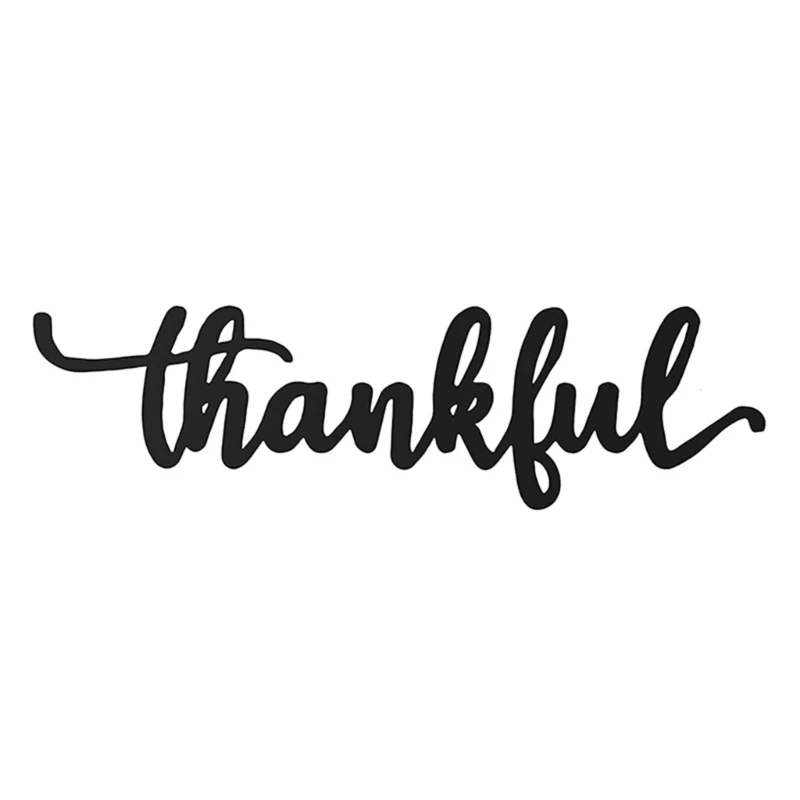 H55A Thankful Sign Metal Wall Decor Wall Sign Hanging for Home Office Living-Room
H55A Thankful Sign Metal Wall Decor Wall Sign Hanging for Home Office Living-Room