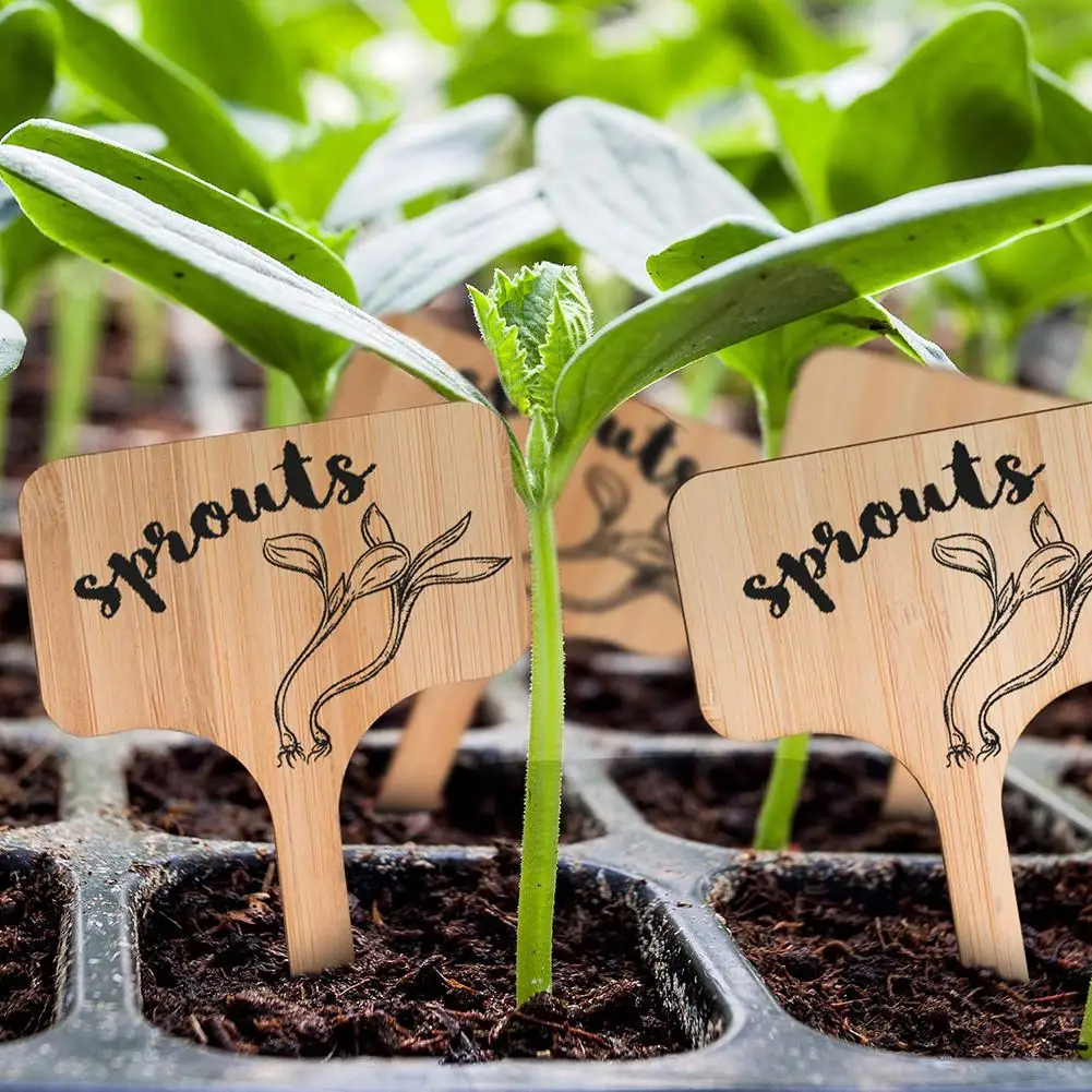 50pcs T-Type Bamboo Plant Labels Eco-Friendly Wooden Plant Sign Tags Garden Markers For Seed Potted Herbs Flowers Tools
50pcs T-Type Bamboo Plant Labels Eco-Friendly Wooden Plant Sign Tags Garden Markers For Seed Potted Herbs Flowers Tools