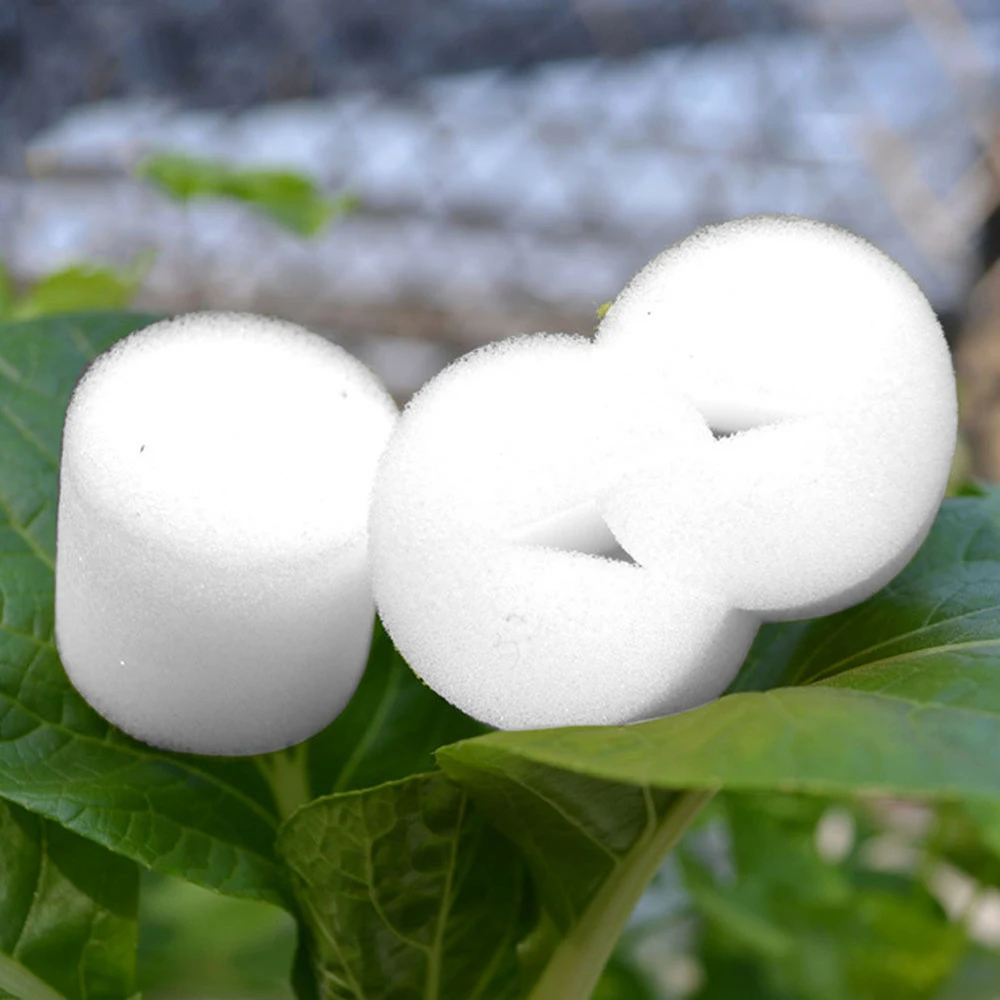 50PCS Plant Net Cup & 50PCS Cylinders Sponge For Hydroponic Seed Starting Insert Seed Germinate Nursery Pots Greenhouse Sponges
50PCS Plant Net Cup & 50PCS Cylinders Sponge For Hydroponic Seed Starting Insert Seed Germinate Nursery Pots Greenhouse Sponges