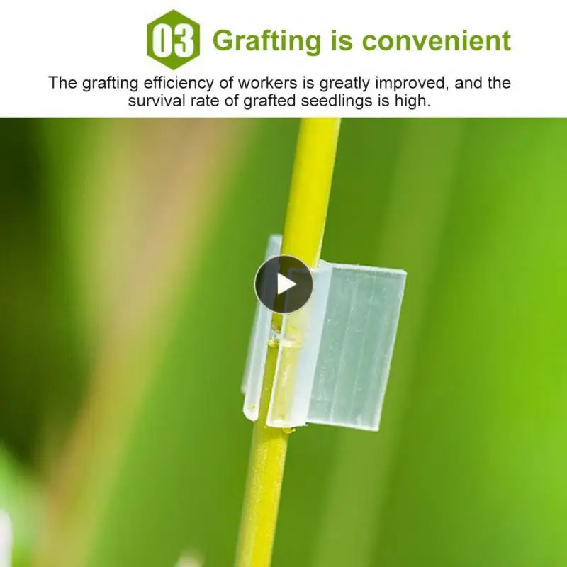 Plant Grafting Clip Plastic Gardening Tool For Cucumber Eggplant Watermelon, Round Mouth Flat Mouth Anti-fall Clamp Plant Tape
Plant Grafting Clip Plastic Gardening Tool For Cucumber Eggplant Watermelon, Round Mouth Flat Mouth Anti-fall Clamp Plant Tape