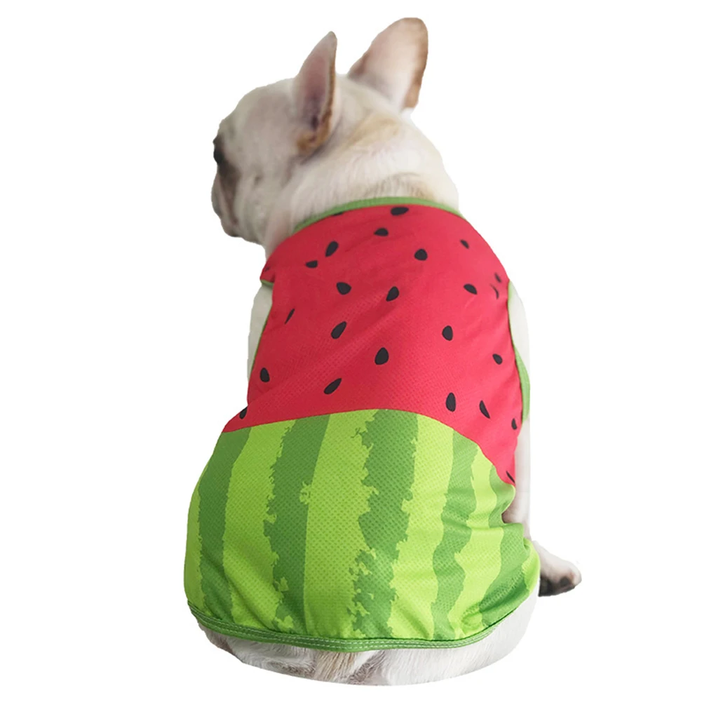 Dog Clothes Cool Vest Pet Cool Cooling Vest Summer Clothes Versatile Refreshing Dog Cool Walk Outing Thin Harness Pet Supplies
Dog Clothes Cool Vest Pet Cool Cooling Vest Summer Clothes Versatile Refreshing Dog Cool Walk Outing Thin Harness Pet Supplies