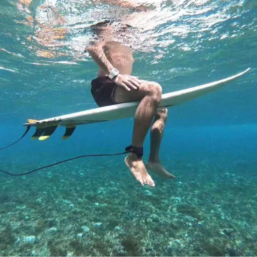 Performance - Longboard & Single Fin inch for Surfboards & Paddleboards - Easy to Install
Performance - Longboard & Single Fin inch for Surfboards & Paddleboards - Easy to Install