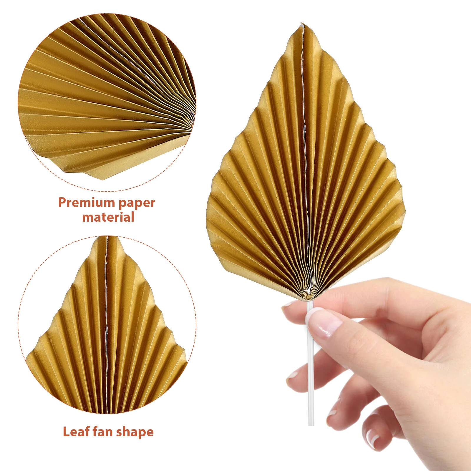 24 Pcs Hawaii Kids Gift Cake Decoration Ornament Fruit Picks Paper Cup Insert Topper Party Cupcake Baby Leaf
24 Pcs Hawaii Kids Gift Cake Decoration Ornament Fruit Picks Paper Cup Insert Topper Party Cupcake Baby Leaf