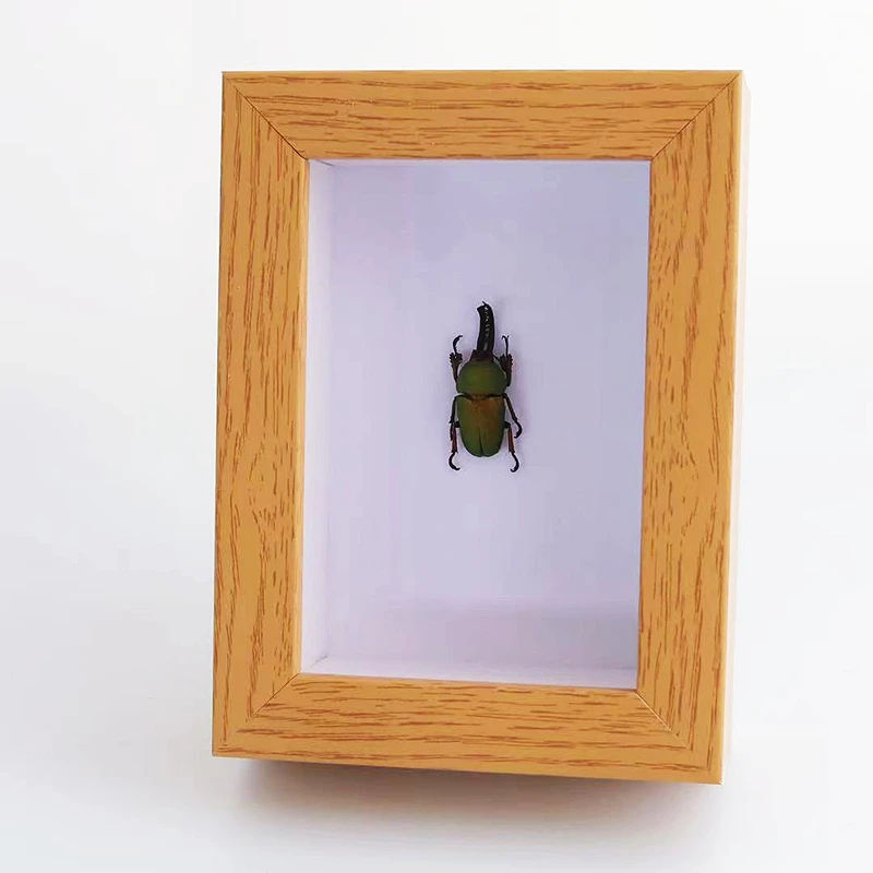 Amazing Steampunk Machinery Longhorn Beetle Insect Specimen Handmade Creative Crafts for Decorations for Home Gift
Amazing Steampunk Machinery Longhorn Beetle Insect Specimen Handmade Creative Crafts for Decorations for Home Gift