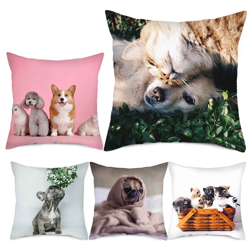 45x45cm Throw Pillow Case Cute Cat Dog Pet Animal Peach Skin Couch Cushion Cover with Zipper Home Office Simple Decorative
45x45cm Throw Pillow Case Cute Cat Dog Pet Animal Peach Skin Couch Cushion Cover with Zipper Home Office Simple Decorative