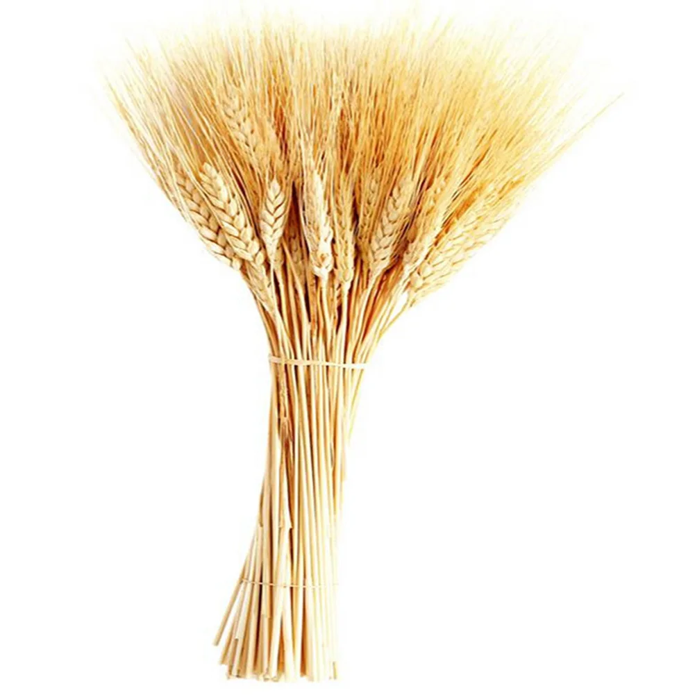 25Pack Bleached Bulgur Bunch Wedding Flower Arrangement Home Dried Flower Real Plants Home Decor Wedding Decoration
25Pack Bleached Bulgur Bunch Wedding Flower Arrangement Home Dried Flower Real Plants Home Decor Wedding Decoration