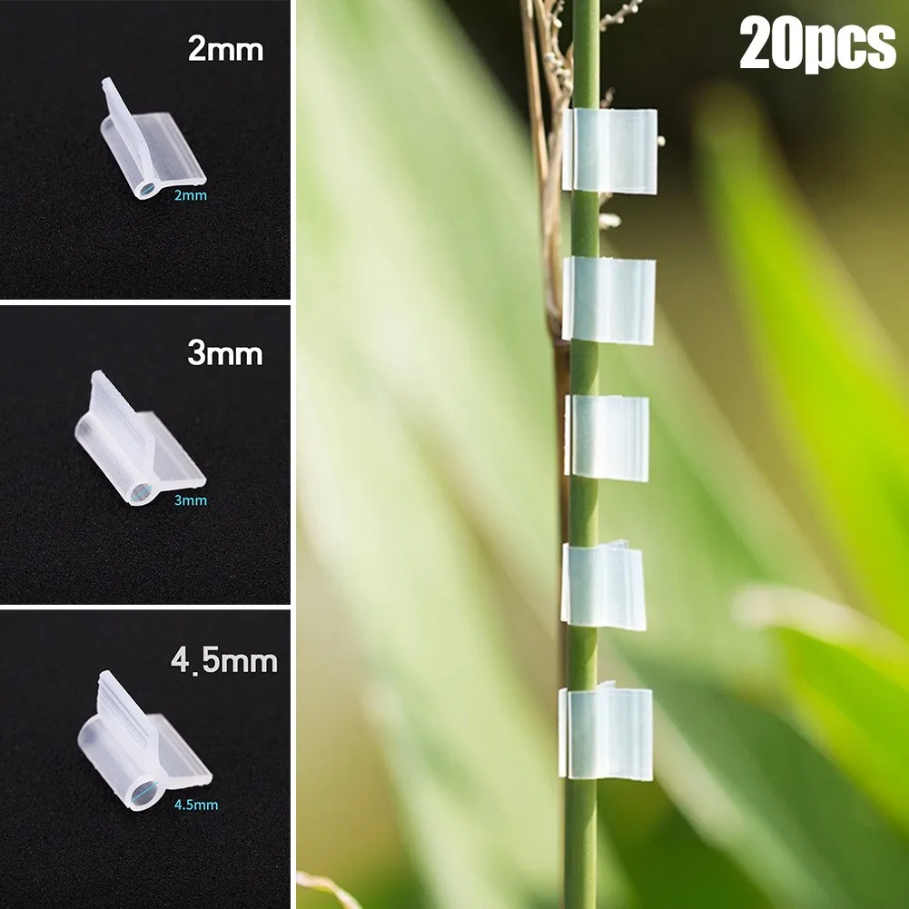 20Pcs-pack Garden Flower Plant Vine Seedlingss Grafted Branches Clip Connector Fasteners Plastic Clips Garden Tool
20Pcs-pack Garden Flower Plant Vine Seedlingss Grafted Branches Clip Connector Fasteners Plastic Clips Garden Tool