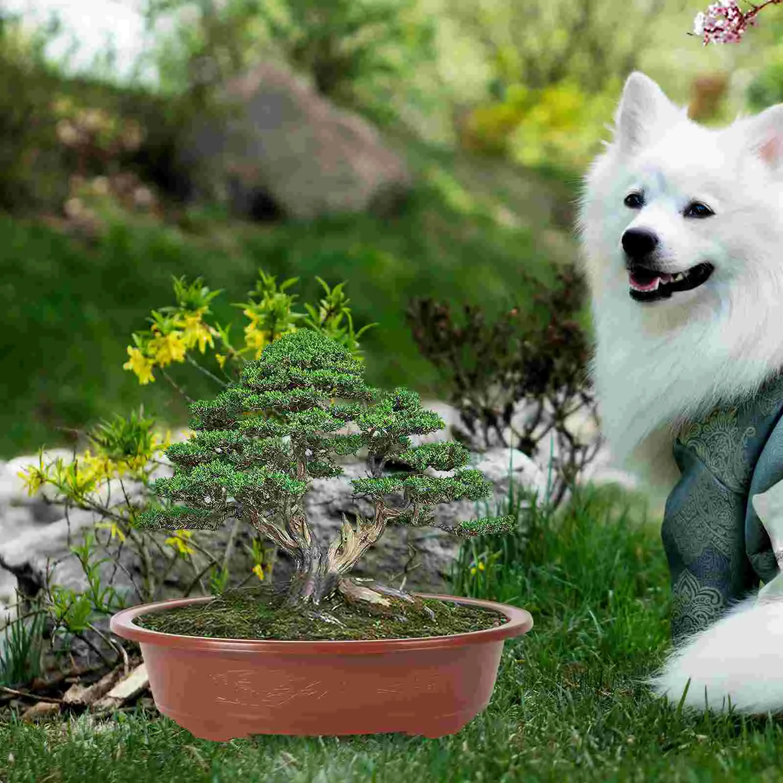 4 Pcs Flower Pots Indoor Plastic Simple Planter Plants Garden Planting Bonsai Home
4 Pcs Flower Pots Indoor Plastic Simple Planter Plants Garden Planting Bonsai Home
