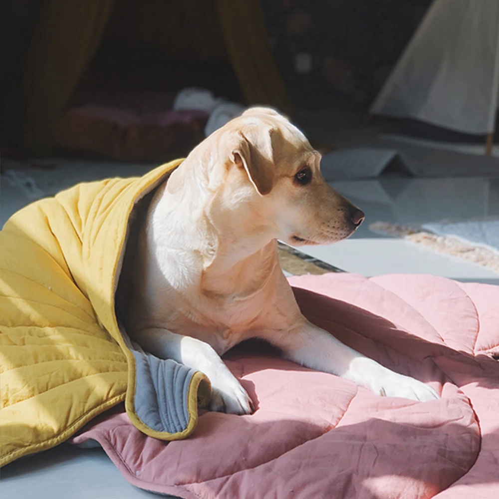 Creativity Child Home Dog Pet Leaf Cat Decor For Heart-shaped Fashion Summer Mat And Throw Carpet Mat Blanket Comfort Carpet
Creativity Child Home Dog Pet Leaf Cat Decor For Heart-shaped Fashion Summer Mat And Throw Carpet Mat Blanket Comfort Carpet