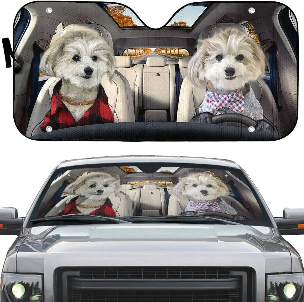 Пара Shih Tzu счастливые щенки левый руль автомобиль солнцезащитный козырек Shih Tzu пара Вождение на шоссе осенний автомобиль солнцезащитный козырек
Пара Shih Tzu счастливые щенки левый руль автомобиль солнцезащитный козырек Shih Tzu пара Вождение на шоссе осенний автомобиль солнцезащитный козырек