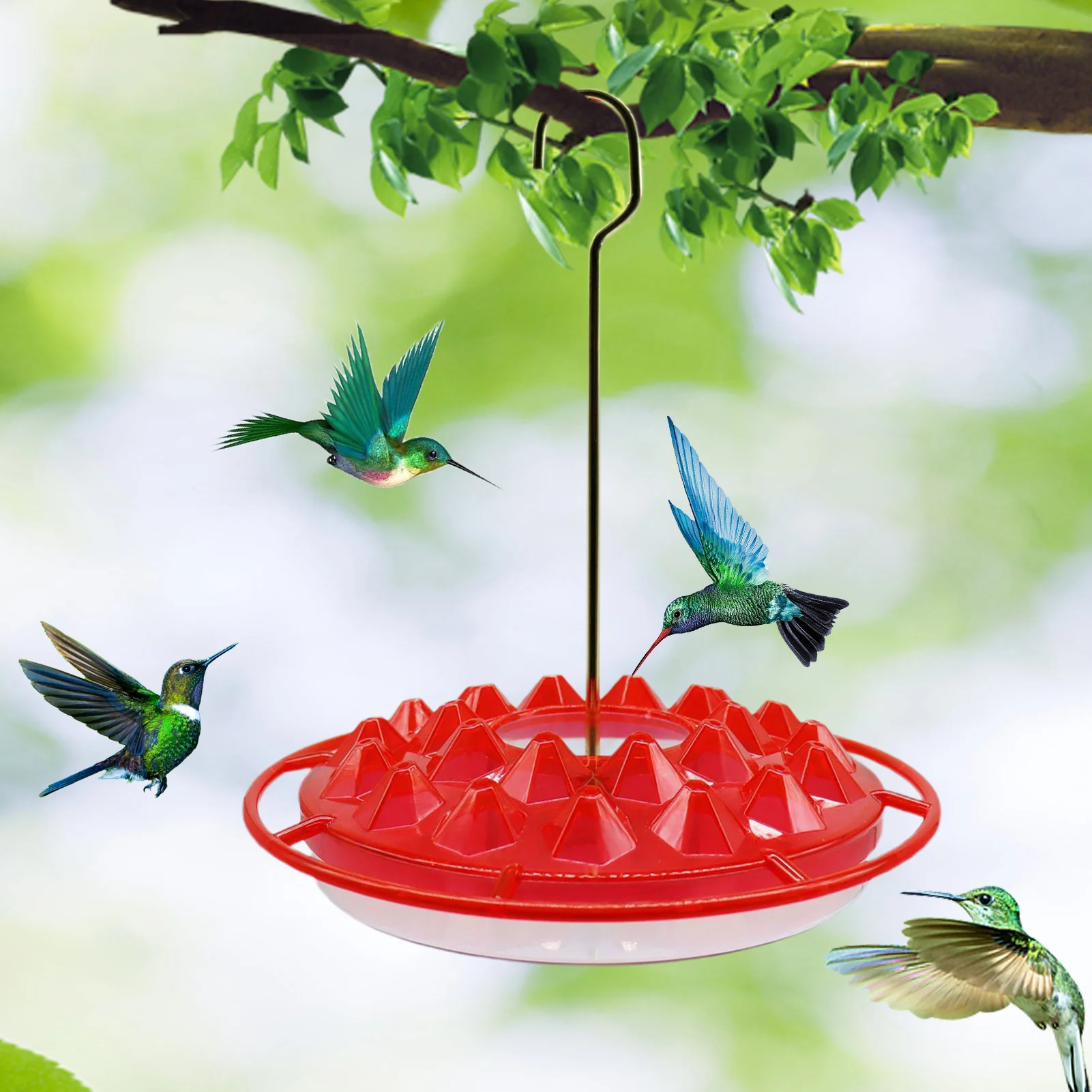 Small Easy To Clean Humming Bird Feeder For Outside Garden Solid Bee Proof Wild Small Bird Feeder With 25 Feeding Ports Perch
Small Easy To Clean Humming Bird Feeder For Outside Garden Solid Bee Proof Wild Small Bird Feeder With 25 Feeding Ports Perch