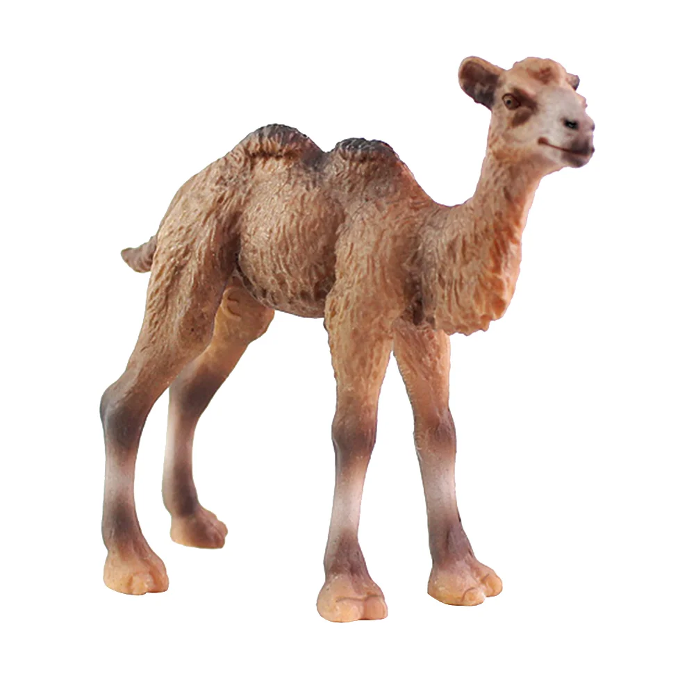 Camel Figurines Lifelike Camel Model Miniature Statue Animals Action Figures Desktop Statue
Camel Figurines Lifelike Camel Model Miniature Statue Animals Action Figures Desktop Statue