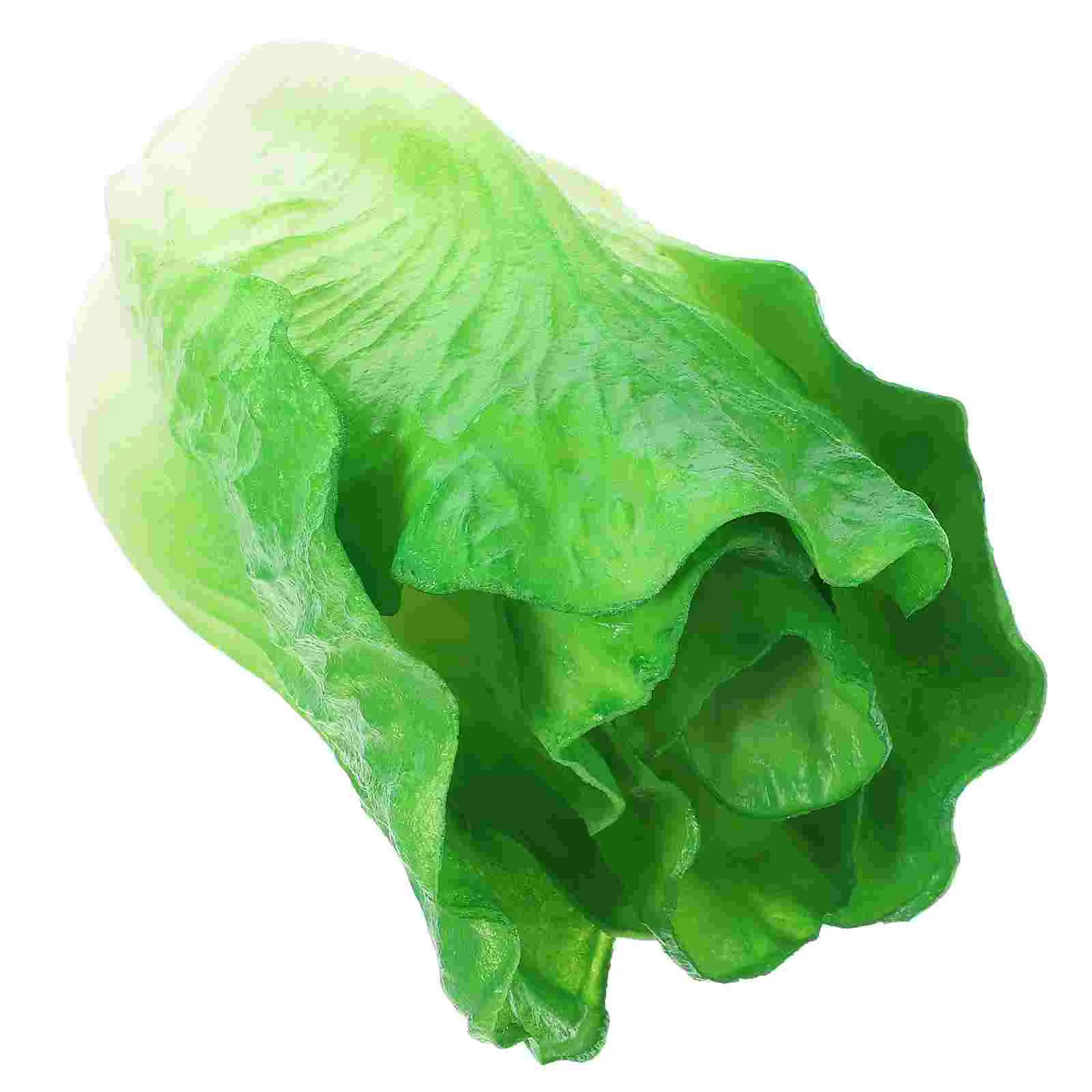 Simulation Vegetable Fake Vegetables Food Realistic Ornament Lettuce Simulated Toy Props
Simulation Vegetable Fake Vegetables Food Realistic Ornament Lettuce Simulated Toy Props