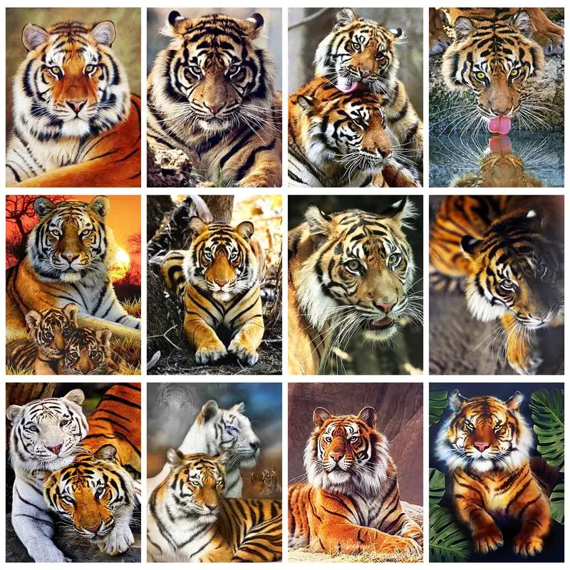 CHENISTORY Rhinestones Diamond Painting Frame Tiger Diy Gift For Adults Wall Art Cross Stitch Animals Diamond Embroidery
CHENISTORY Rhinestones Diamond Painting Frame Tiger Diy Gift For Adults Wall Art Cross Stitch Animals Diamond Embroidery