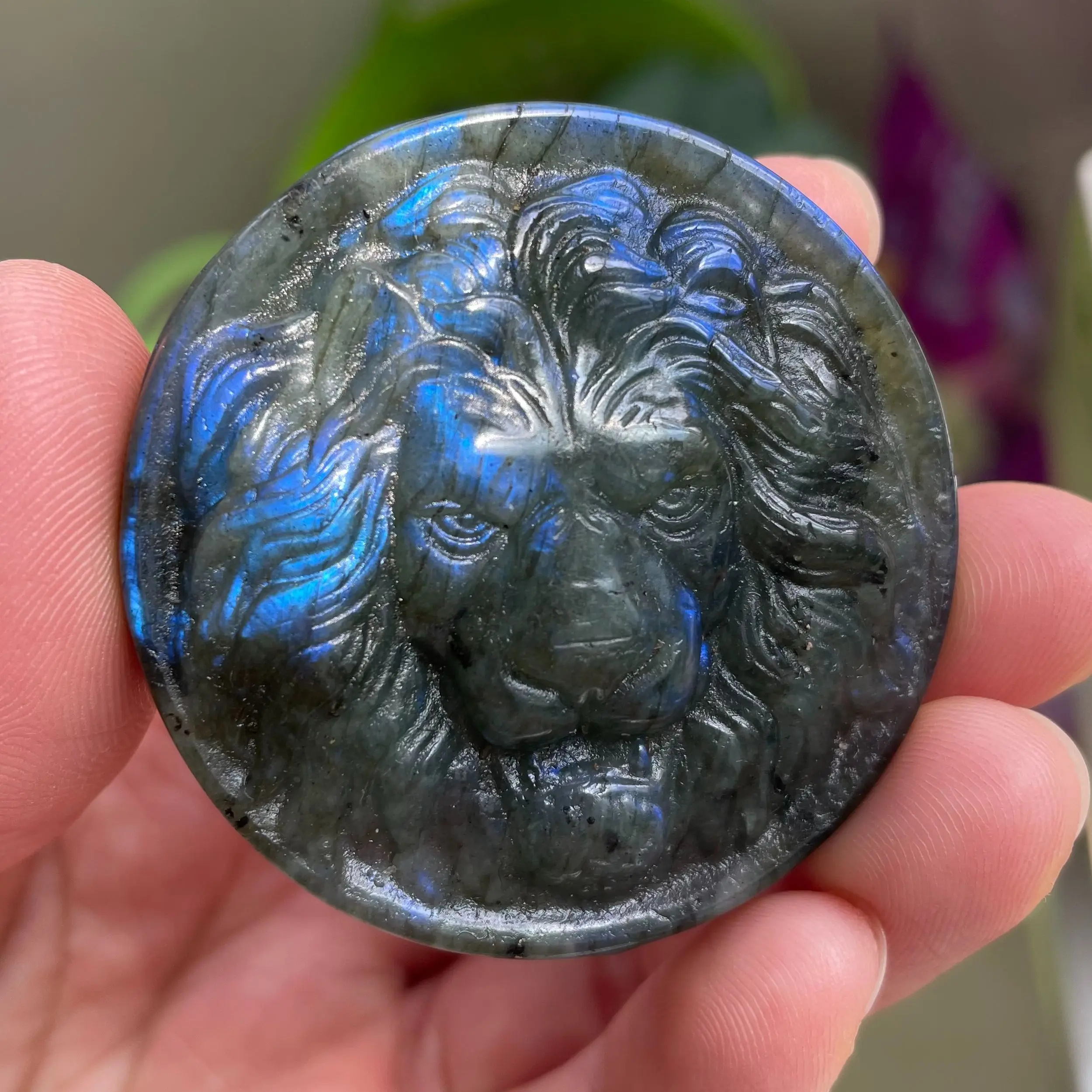 5-6cm 1pc Natural Labradorite Carving Animal Lion Sculpture Crafts Ornaments Reiki Minerals Meditation Room Decoration Gifts
5-6cm 1pc Natural Labradorite Carving Animal Lion Sculpture Crafts Ornaments Reiki Minerals Meditation Room Decoration Gifts