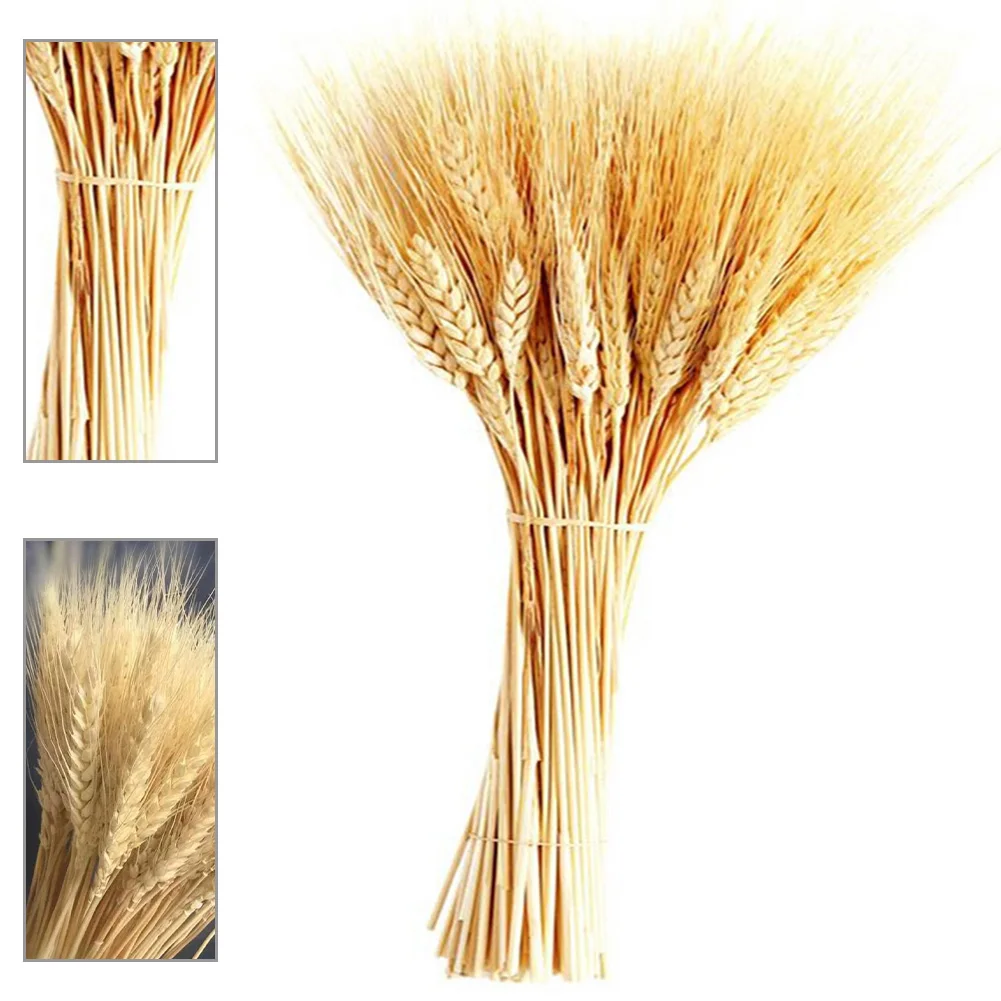 25pcs Wheat Ear Artificial Flowers Natural Dried Flowers For Home Decor Table Wedding Decoration DIY Preserved Flowers Bouquet
25pcs Wheat Ear Artificial Flowers Natural Dried Flowers For Home Decor Table Wedding Decoration DIY Preserved Flowers Bouquet