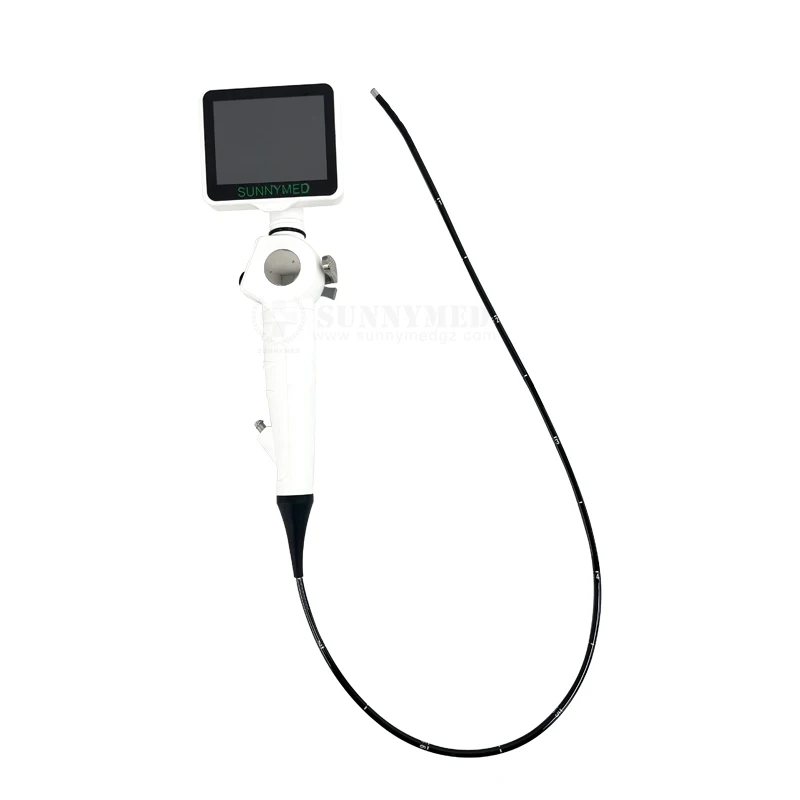 Новый товар SUNNYMED SY-P029-3! Высококачественный экономичный гибкий видеоуретероскоп для больницы
Новый товар SUNNYMED SY-P029-3! Высококачественный экономичный гибкий видеоуретероскоп для больницы