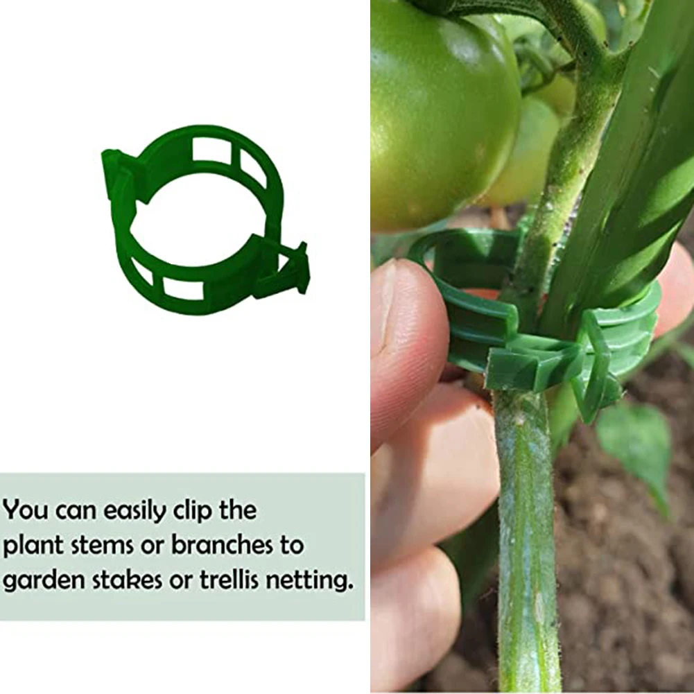 100pcs Plastic Plant Clips Supports Connects Plant Clips Buckle Hook Reusable Holder Grafting Fixing Tool Gardening Supplies
100pcs Plastic Plant Clips Supports Connects Plant Clips Buckle Hook Reusable Holder Grafting Fixing Tool Gardening Supplies