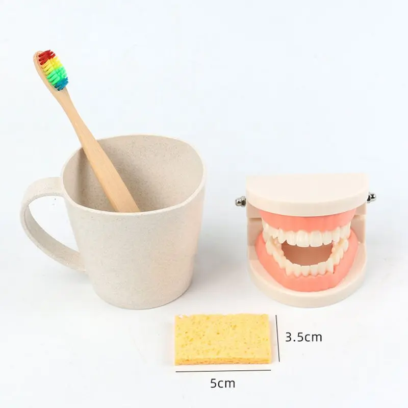 Teeth Brushing Training Set 2-6 Years Children Kids Dental Cognition Wooden Creative Early Education Washing Toys Suit 2022 New
Teeth Brushing Training Set 2-6 Years Children Kids Dental Cognition Wooden Creative Early Education Washing Toys Suit 2022 New