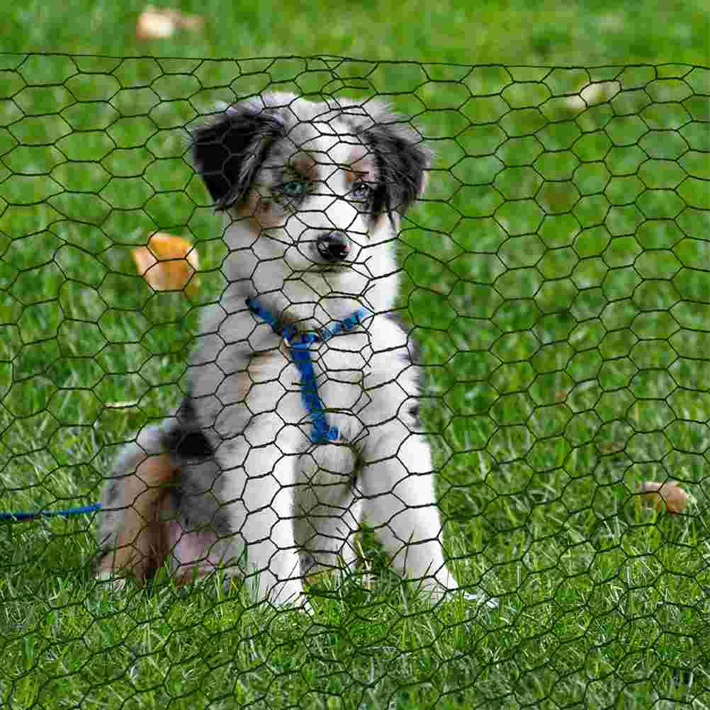 Hexagonal Barbed Wire Metal Nettings Fence Yard Garden Fencing Mesh Poultry Breeding
Hexagonal Barbed Wire Metal Nettings Fence Yard Garden Fencing Mesh Poultry Breeding