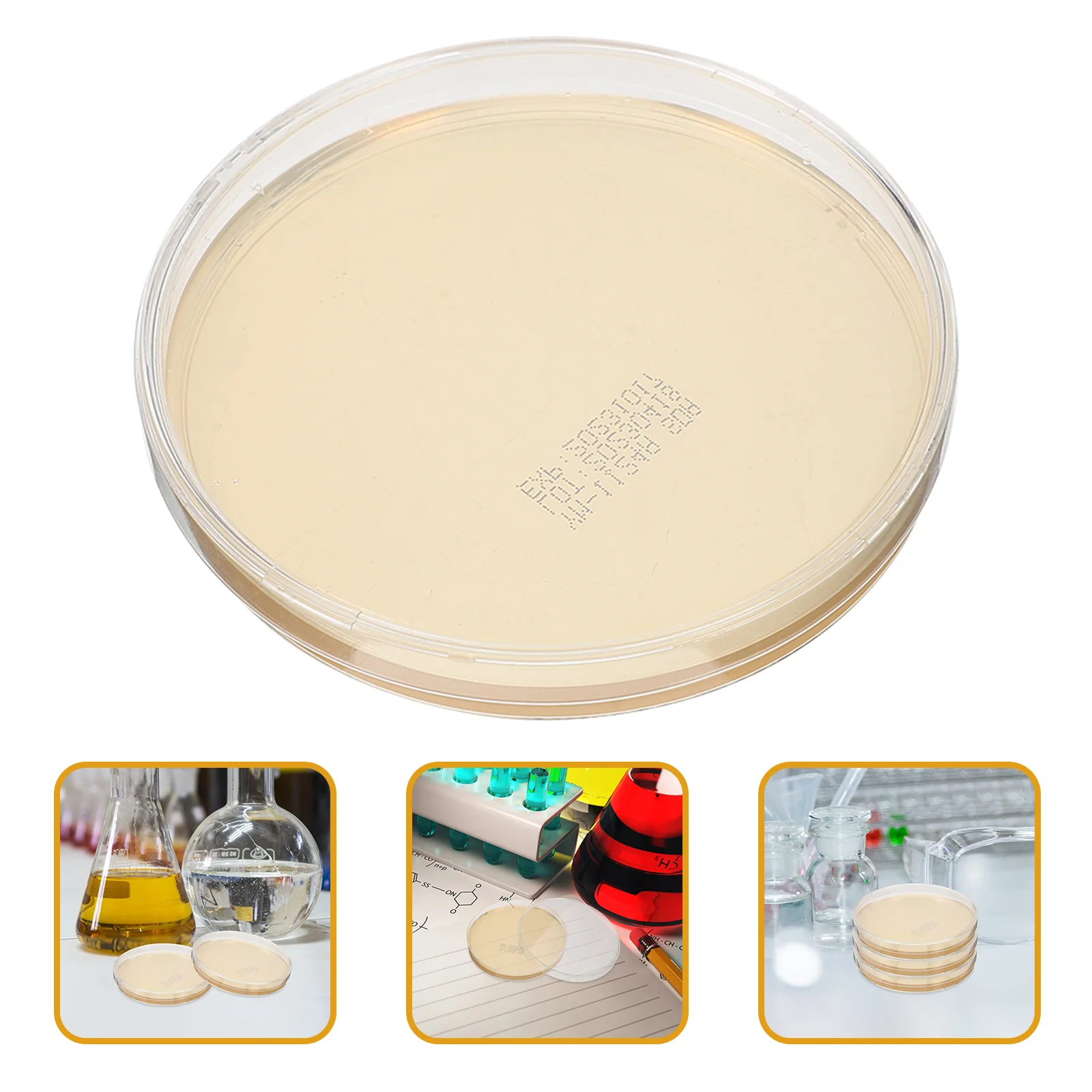 10 Pcs Tool Petri Dishes Agar Flat Small Plates Glucose Tissue Culture Laboratory Experiment Supplies Portable
10 Pcs Tool Petri Dishes Agar Flat Small Plates Glucose Tissue Culture Laboratory Experiment Supplies Portable