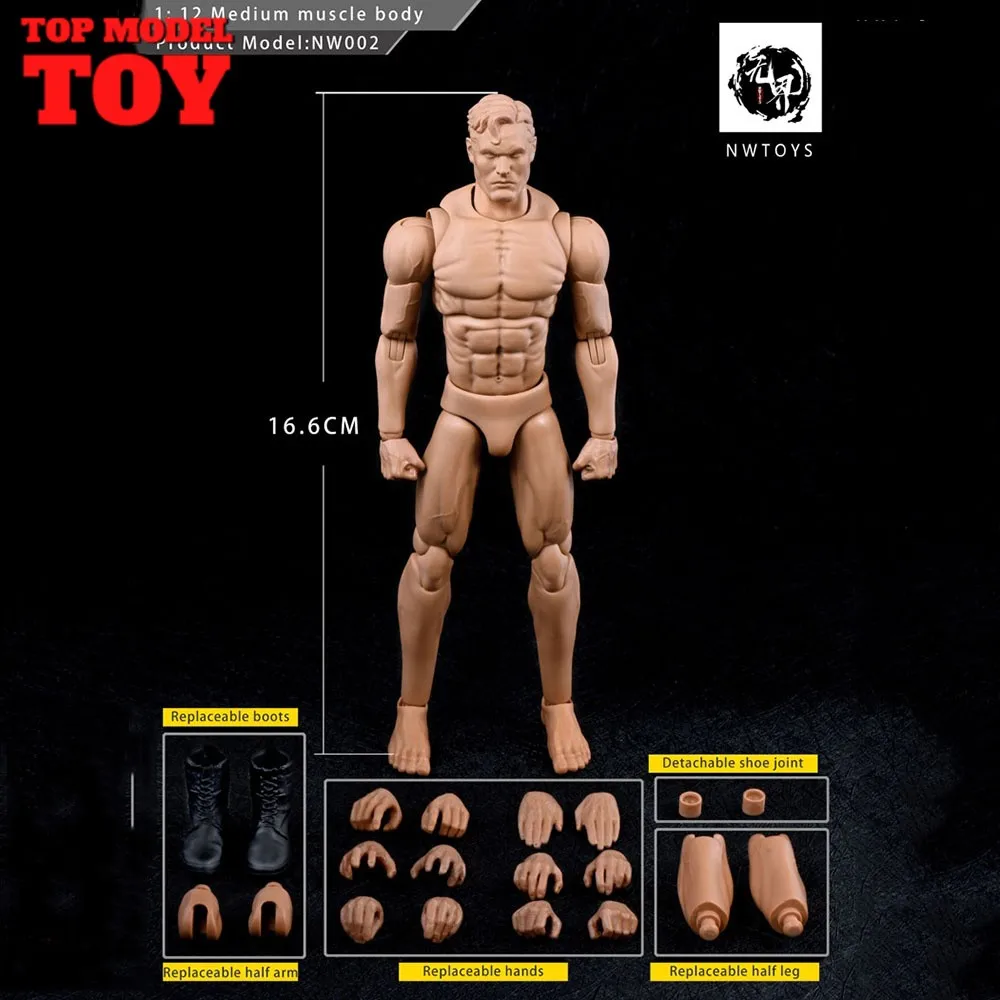 NWTOYS NW002 1/12 Мужская экшн-фигурка кукла 6 ''Солдат модель сильное боди-арт человеческое тело сделай сам
NWTOYS NW002 1/12 Мужская экшн-фигурка кукла 6 ''Солдат модель сильное боди-арт человеческое тело сделай сам