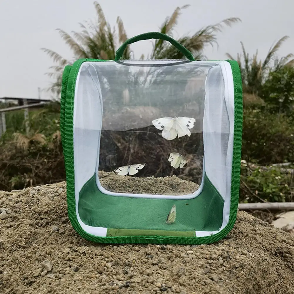 Mesh Cage Handheld Green Color Wear Resistant Butterfly Mesh Terrarium Habitat Net Butterfly Cage for Home
Mesh Cage Handheld Green Color Wear Resistant Butterfly Mesh Terrarium Habitat Net Butterfly Cage for Home