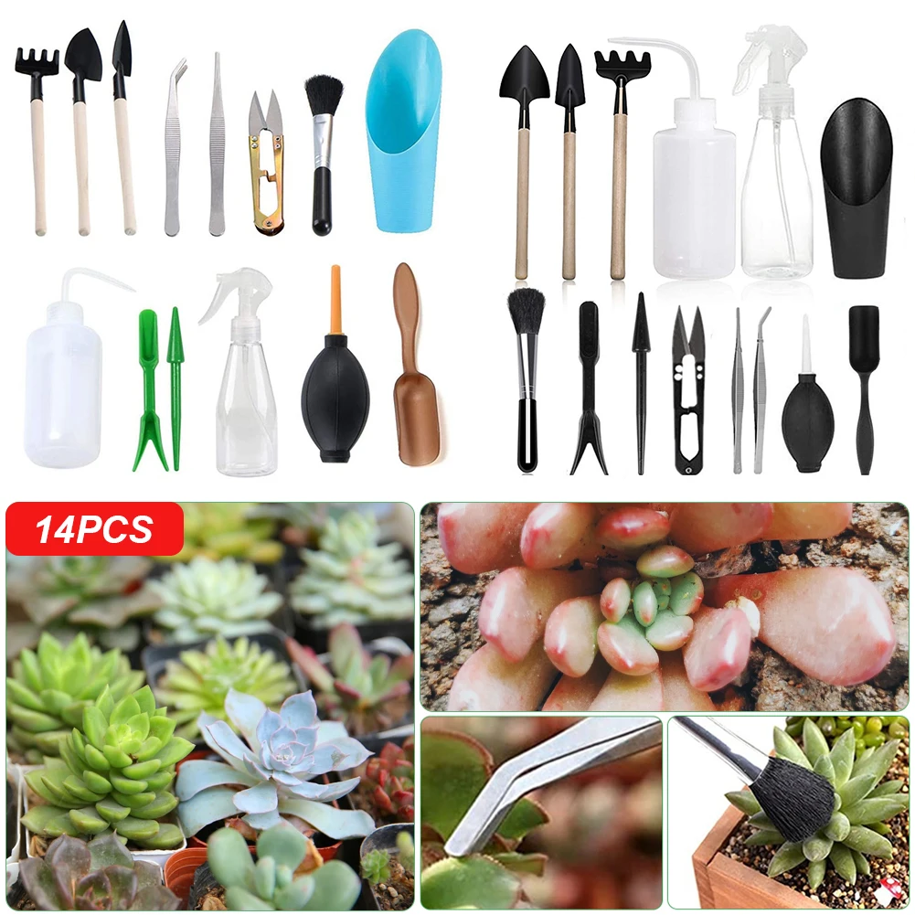 14 Pieces Succulent Plants Tools Mini Gardening Hand Tool Set for Transplanting Digging Pruning Bonsai Plant Care Tools Hot Sale
14 Pieces Succulent Plants Tools Mini Gardening Hand Tool Set for Transplanting Digging Pruning Bonsai Plant Care Tools Hot Sale