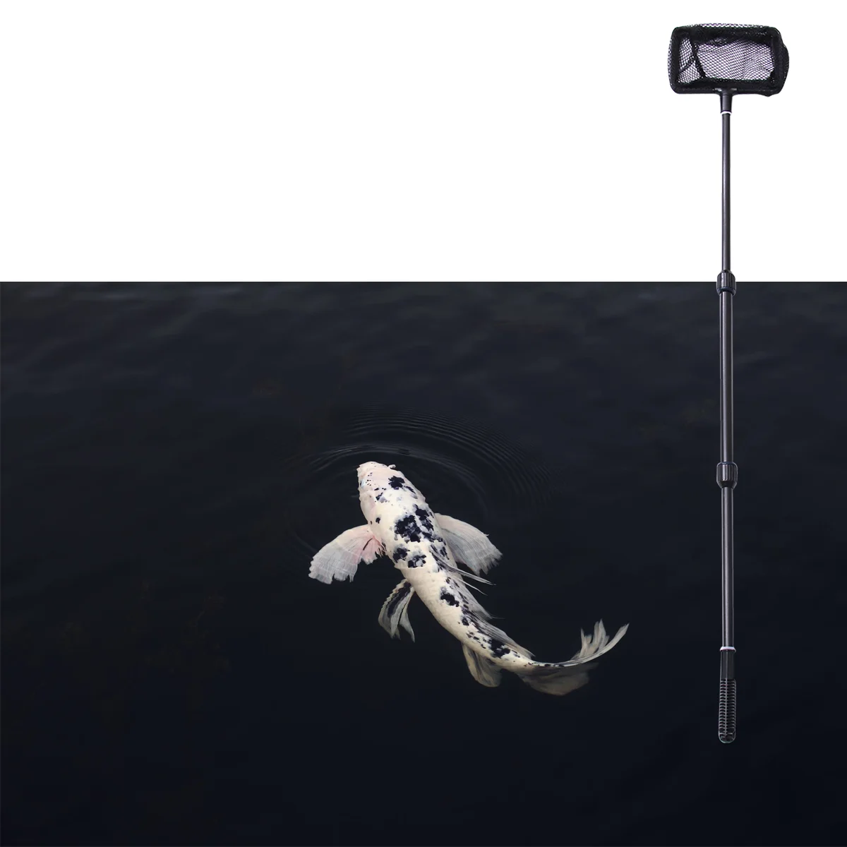 1PC Extendable Landing Net Fishing Gear Fly Landing Net Telescopic Fishing Net Collapsible Fishing Net Folding Fishing Net
1PC Extendable Landing Net Fishing Gear Fly Landing Net Telescopic Fishing Net Collapsible Fishing Net Folding Fishing Net