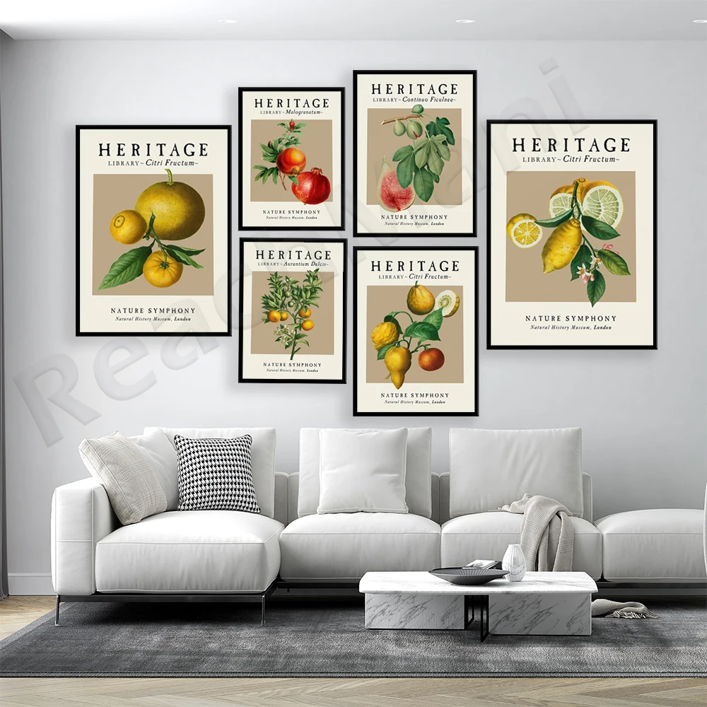 Vintage botanical poster, lemon orange blossom, pomegranate, fig, citrus poster, lemon leaf art, illustration, botanical print
Vintage botanical poster, lemon orange blossom, pomegranate, fig, citrus poster, lemon leaf art, illustration, botanical print