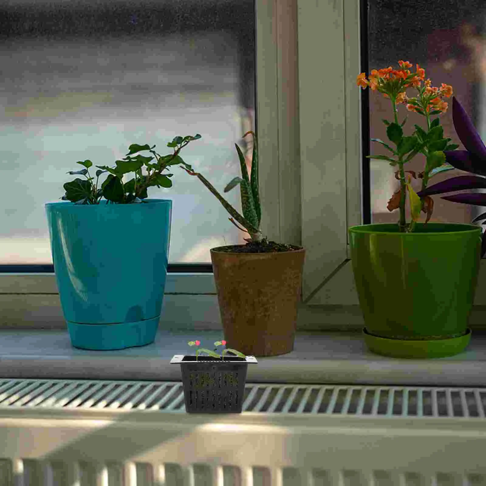 Hydroponics Cups Nethydroponic Pots Supplies Gardening Basket Plantinggartenteich Zubehör
Hydroponics Cups Nethydroponic Pots Supplies Gardening Basket Plantinggartenteich Zubehör