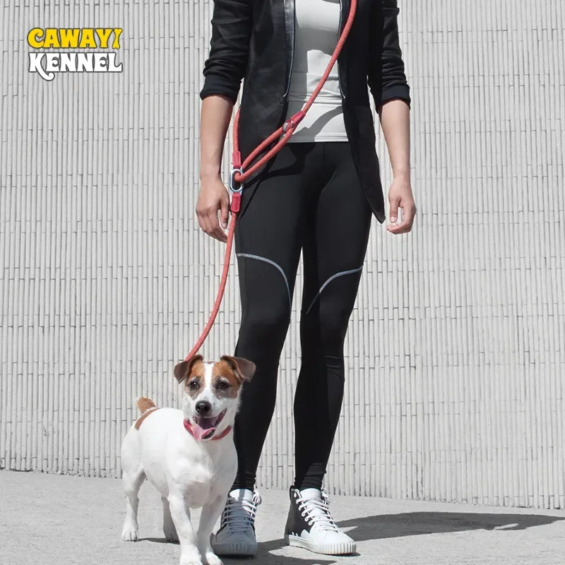 CAWAYI KENNEL Reflective Nylon Leashes Pet Dogs Chain Traction Rope Leads for Running Free Hands Rope Chain for Small Large Dogs
CAWAYI KENNEL Reflective Nylon Leashes Pet Dogs Chain Traction Rope Leads for Running Free Hands Rope Chain for Small Large Dogs