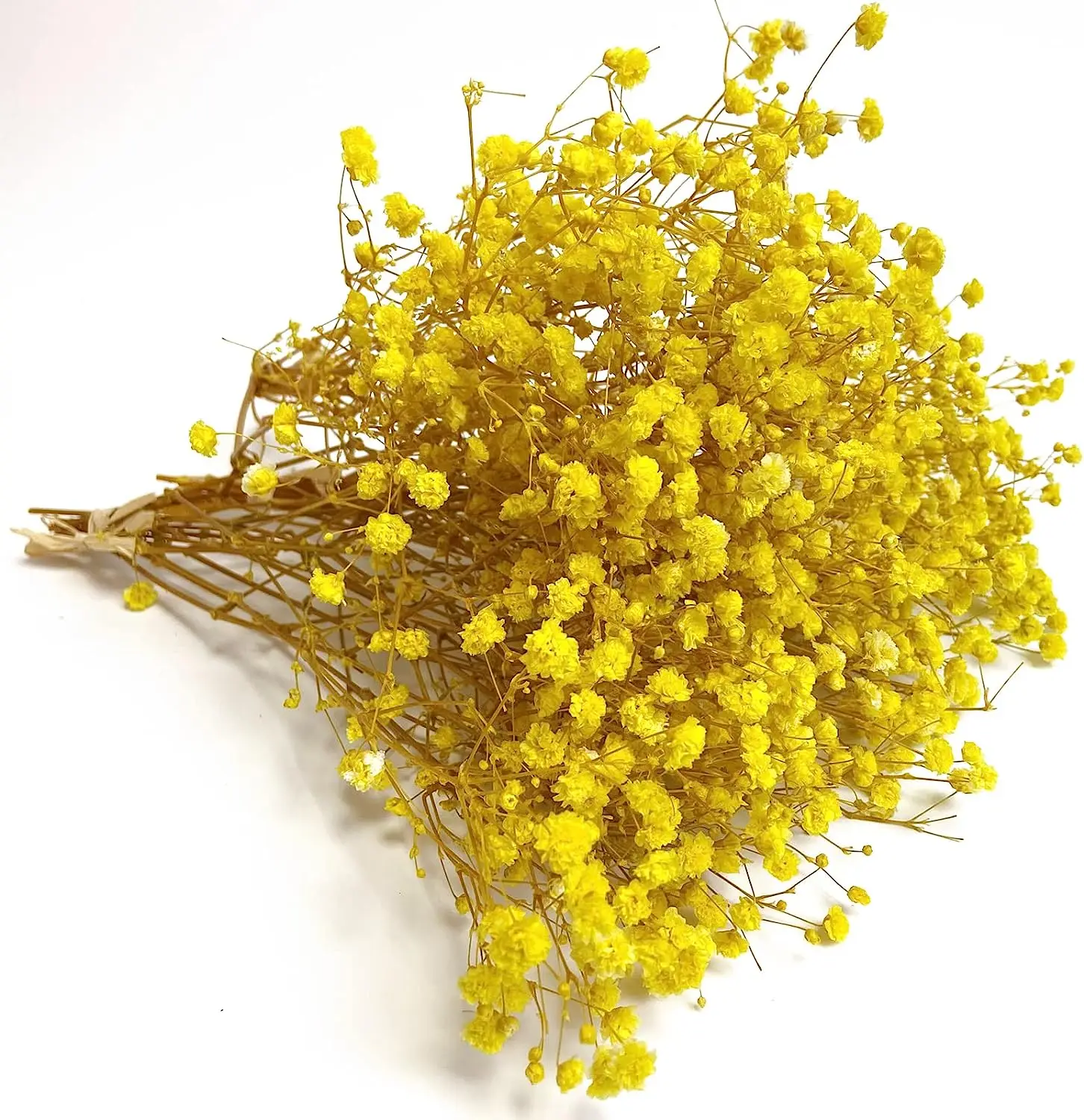 Yellow Baby's Breath Dried Flowers: Perfect for Home Decor, Parties, Weddings, Christmas, and Halloween DIY Crafts Room Decor
Yellow Baby's Breath Dried Flowers: Perfect for Home Decor, Parties, Weddings, Christmas, and Halloween DIY Crafts Room Decor